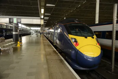 DSC_1238 (Large).JPG